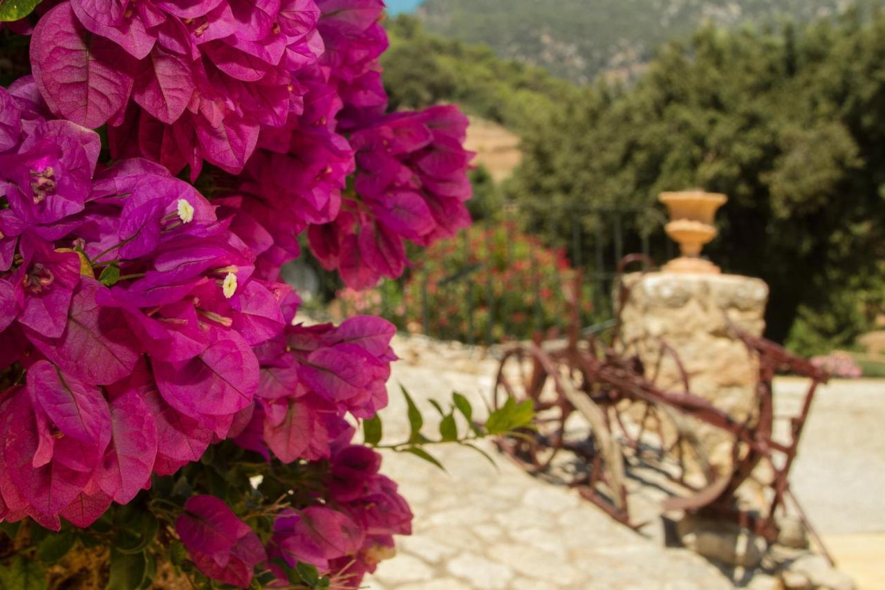 Country house Finca Son Brondo